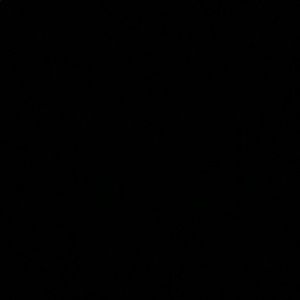 Meet your Posher, Viciie